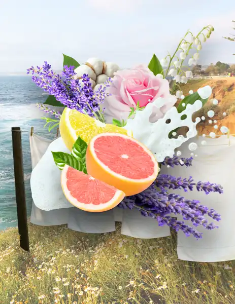 La Jolla Lavender Clean Fragrance - Clean Fragrances